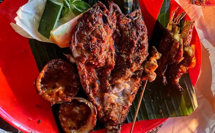 Kegiatan MBG Manado di Manado